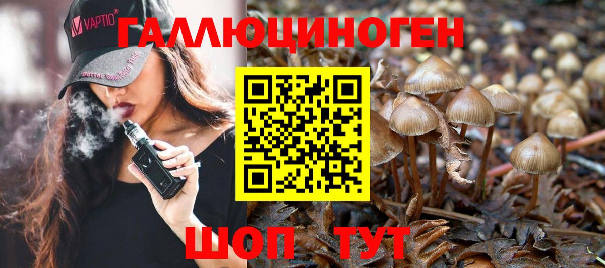 Дюртюли  Галлюциногенные грибы MAGIC MUSHROOMS  купить  сайты  Вход с VPN 