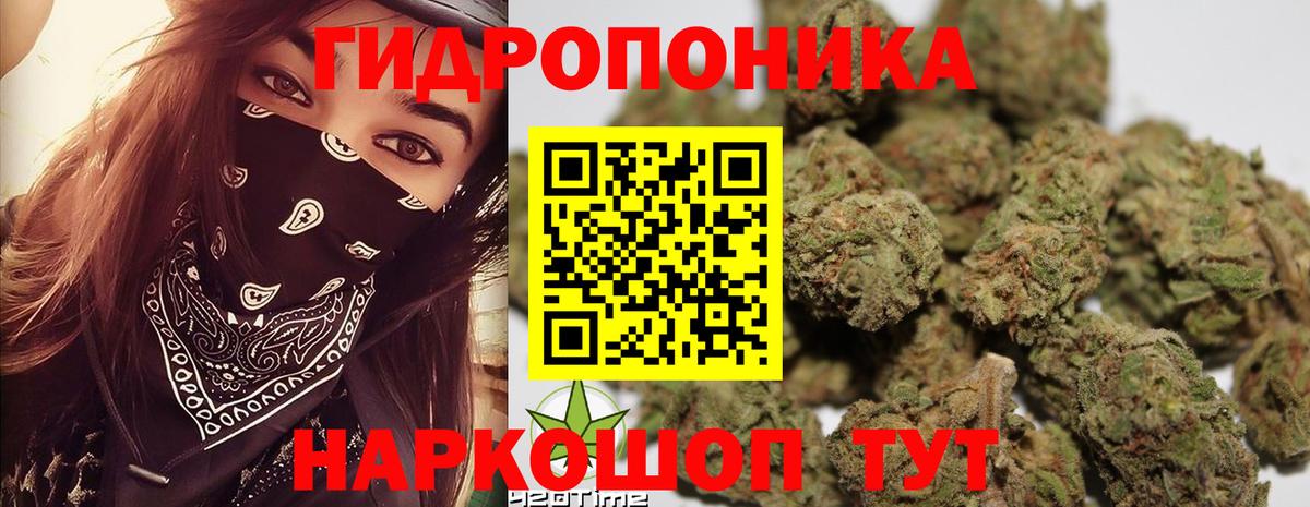 Бошки Шишки семена  Бошки Шишки Bruce Banner  Дюртюли  Вход с VPN  Бошки марихуана сатива 